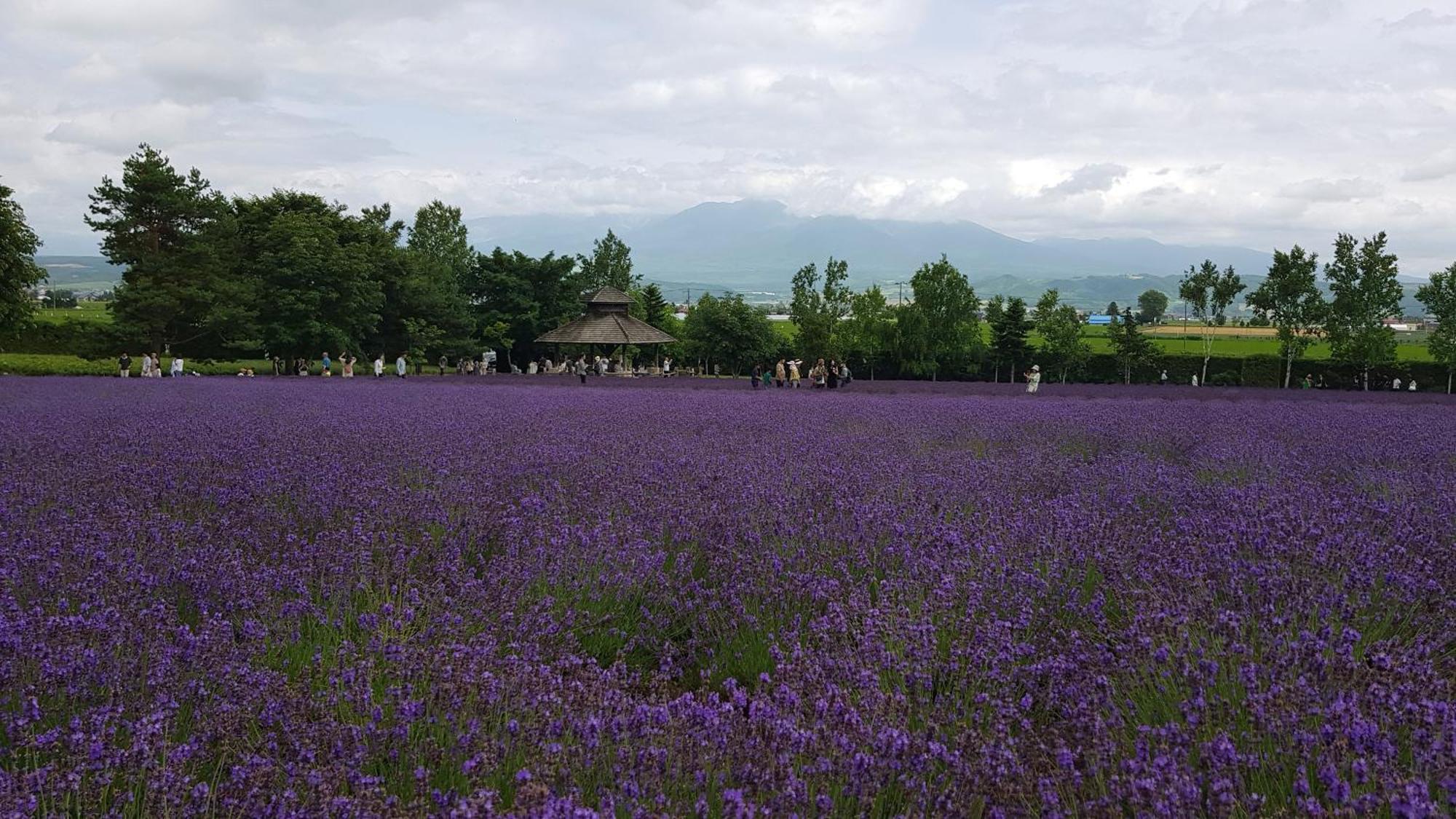 Furano B&B Экстерьер фото