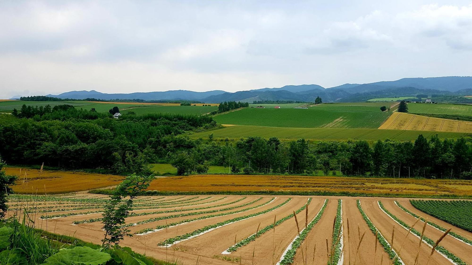 Furano B&B Экстерьер фото
